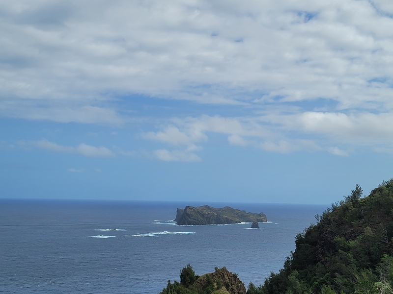 f:id:kohakunodaradara:20220127082601j:plain