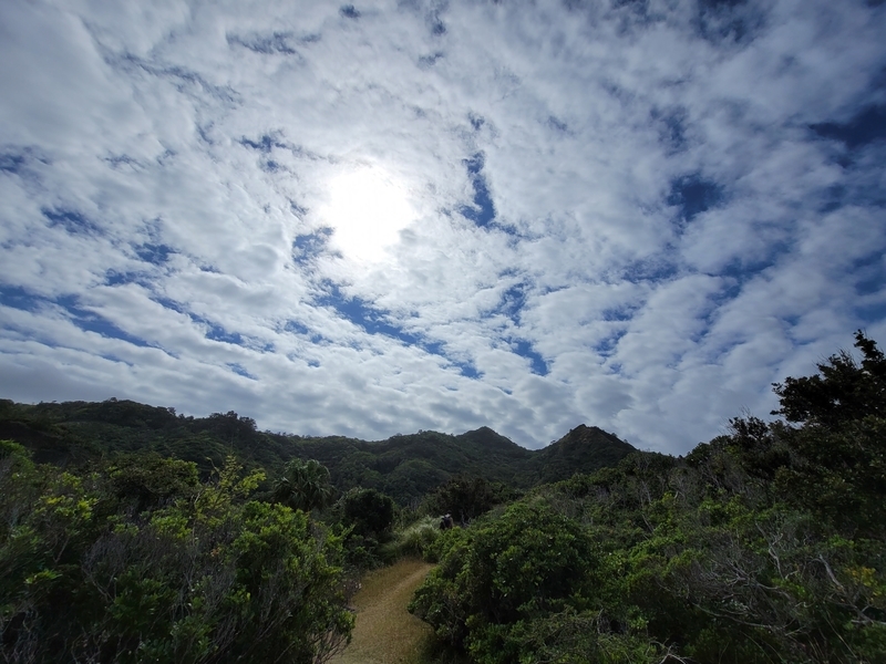 f:id:kohakunodaradara:20220127083138j:plain