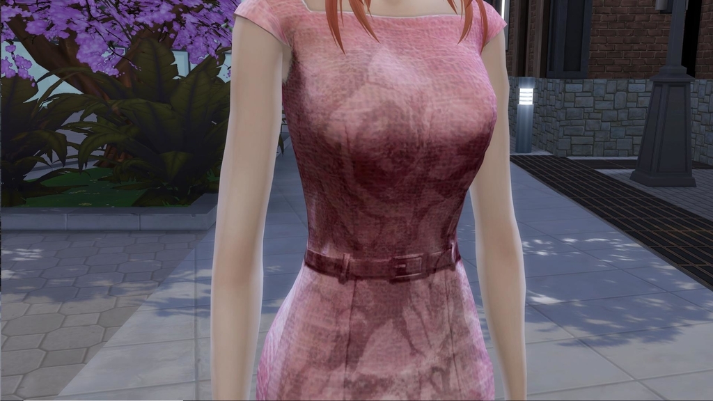 f:id:kohakutonbo:20190217194811j:plain f:id:kohakutonbo:20190217194811j:plain