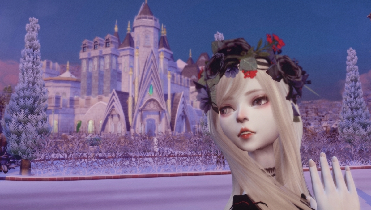 f:id:kohakutonbo:20191202151207j:plain