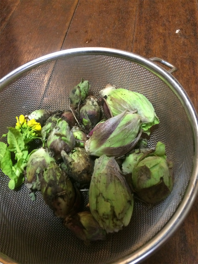 f:id:kohamatatsuro:20190209200119j:image