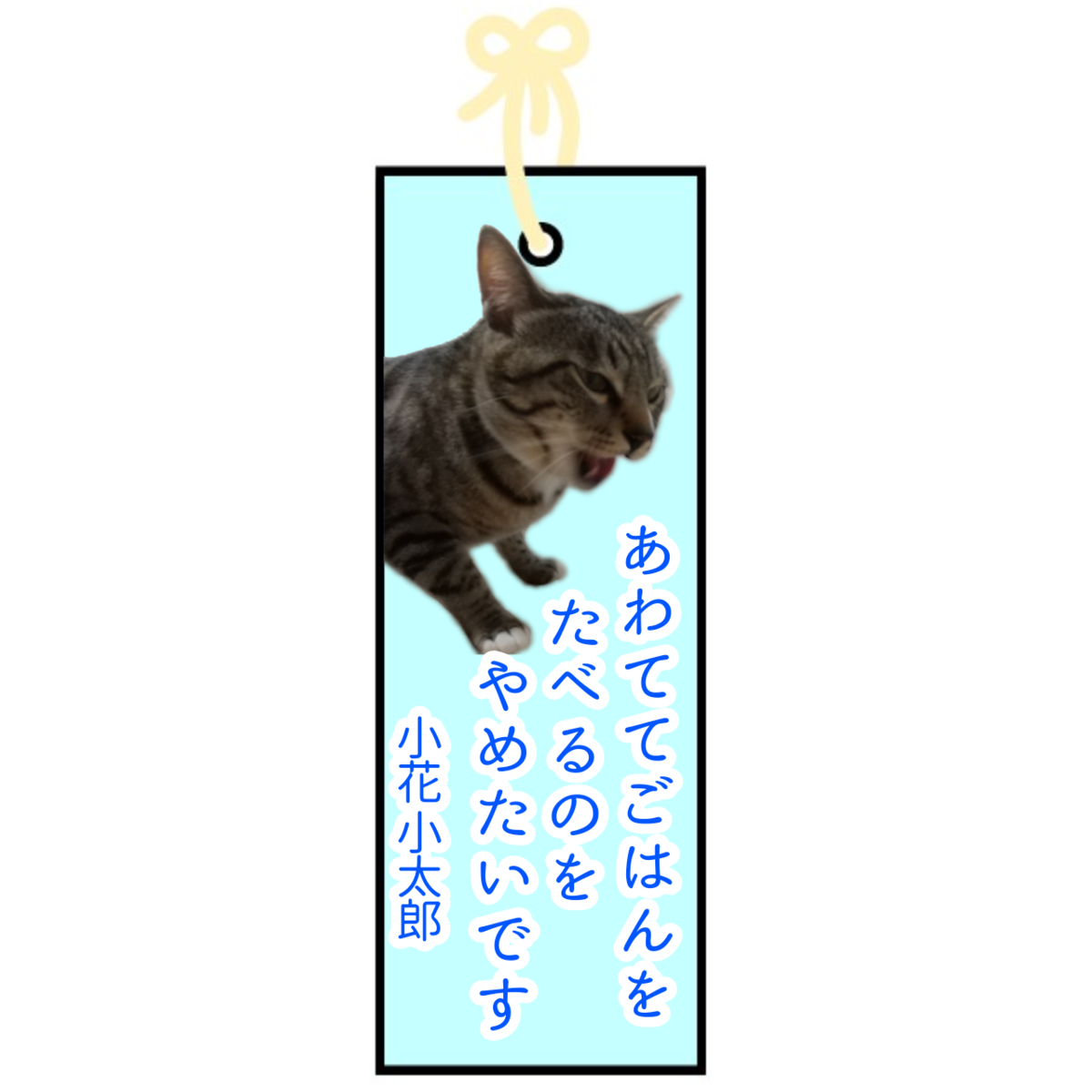 f:id:kohanakotaro:20210706015804p:plain