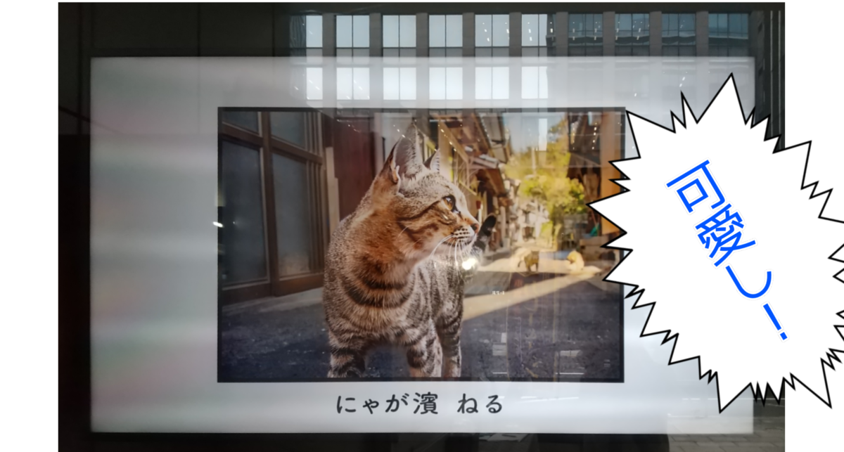 f:id:kohanakotaro:20210709171608p:plain