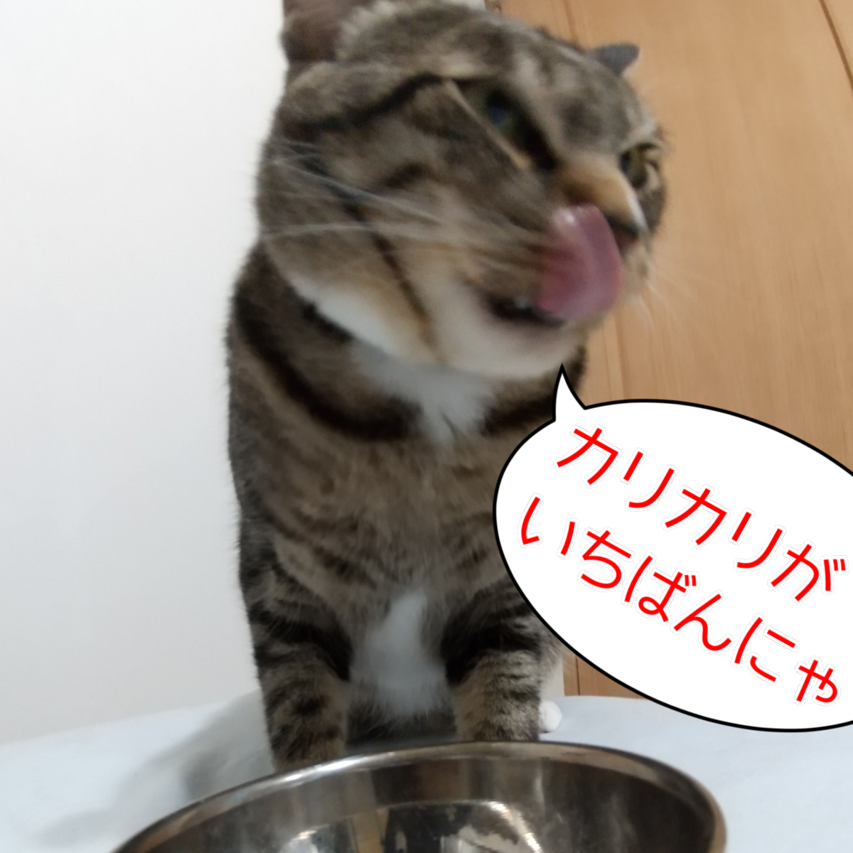 f:id:kohanakotaro:20210722200318p:plain
