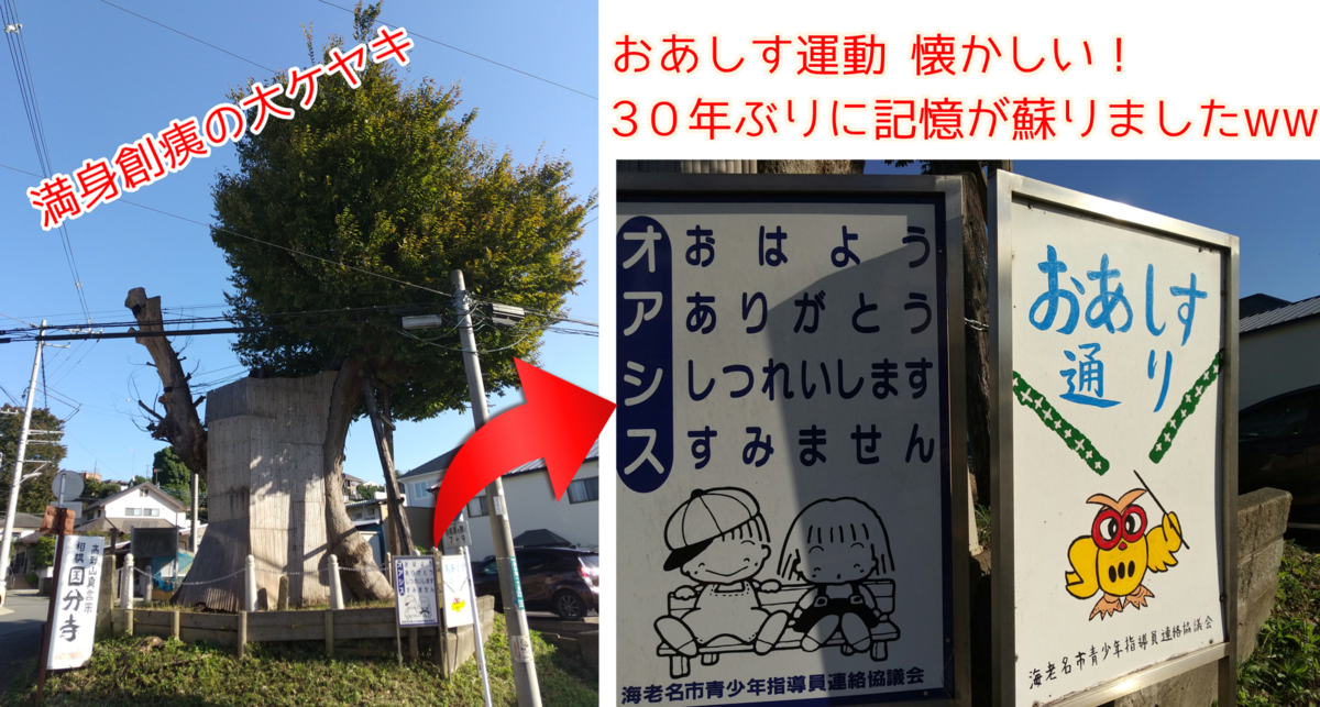 f:id:kohanakotaro:20211029065628p:plain