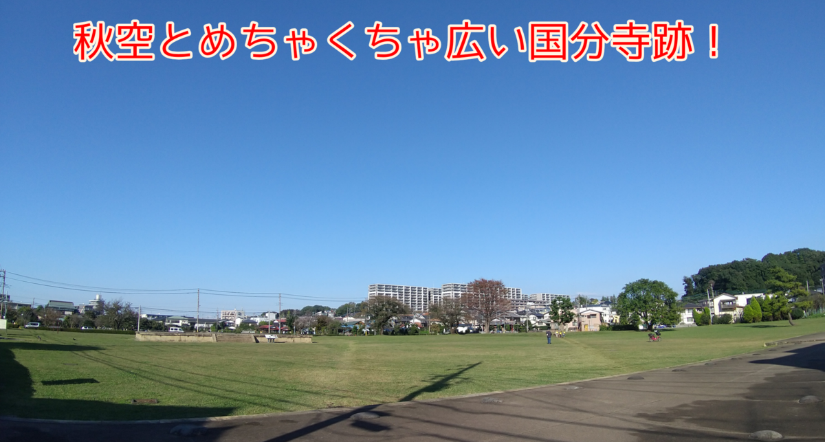 f:id:kohanakotaro:20211029152229p:plain