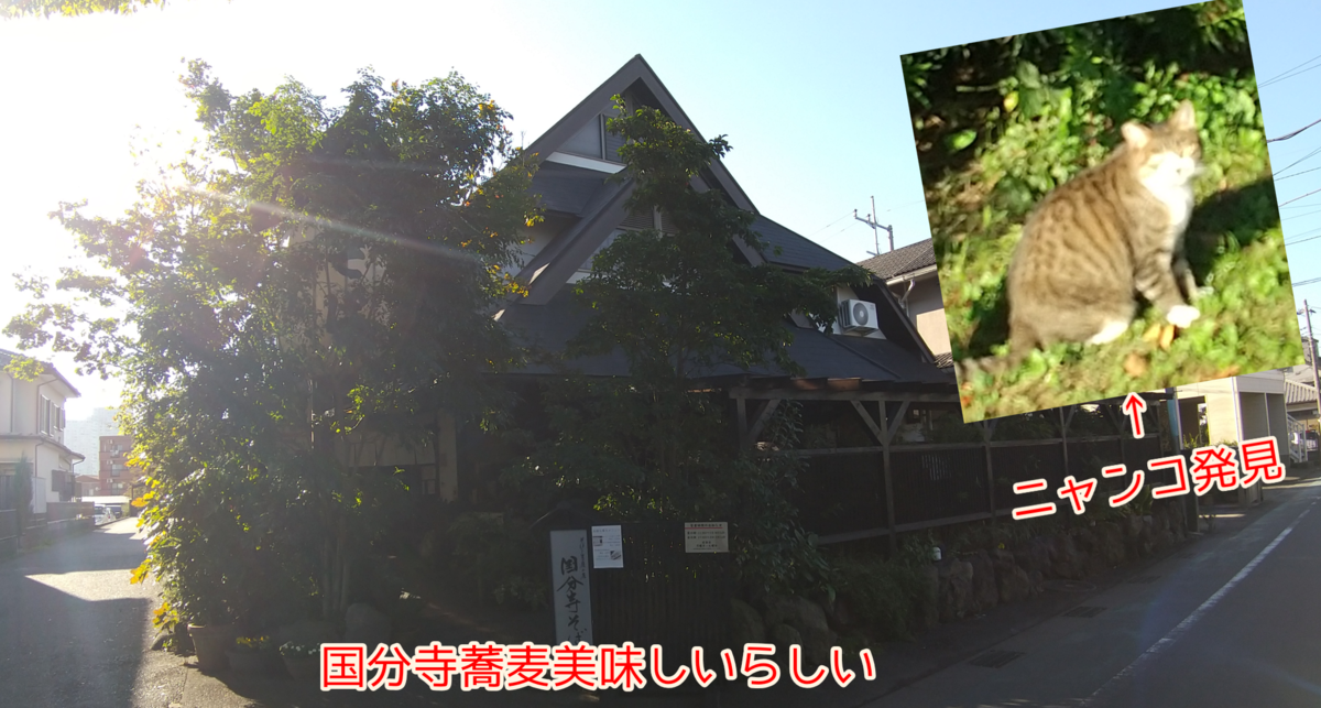 f:id:kohanakotaro:20211029155714p:plain