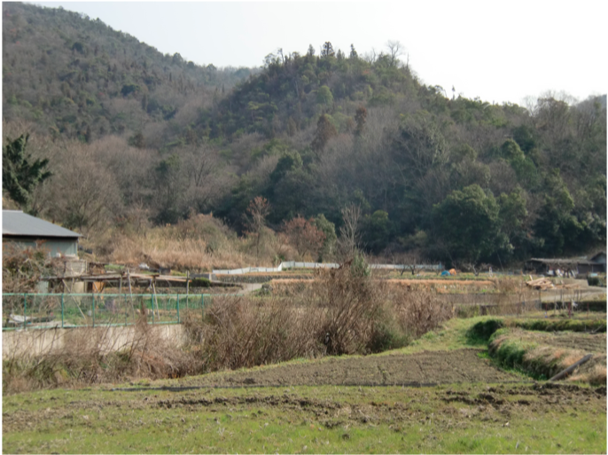 中山田城 広島県福山市熊野町 - 小花と春の古城巡り