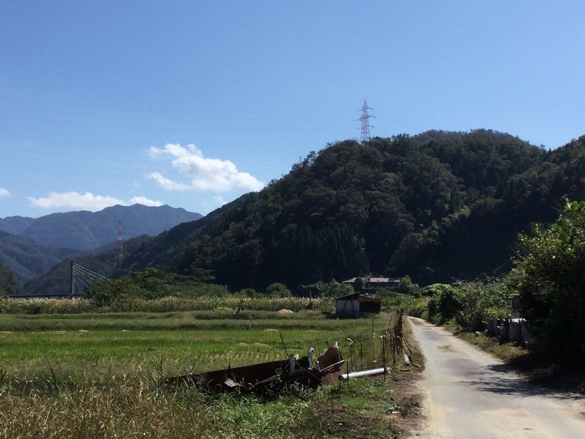 f:id:kohanatoharu:20211221091721j:plain