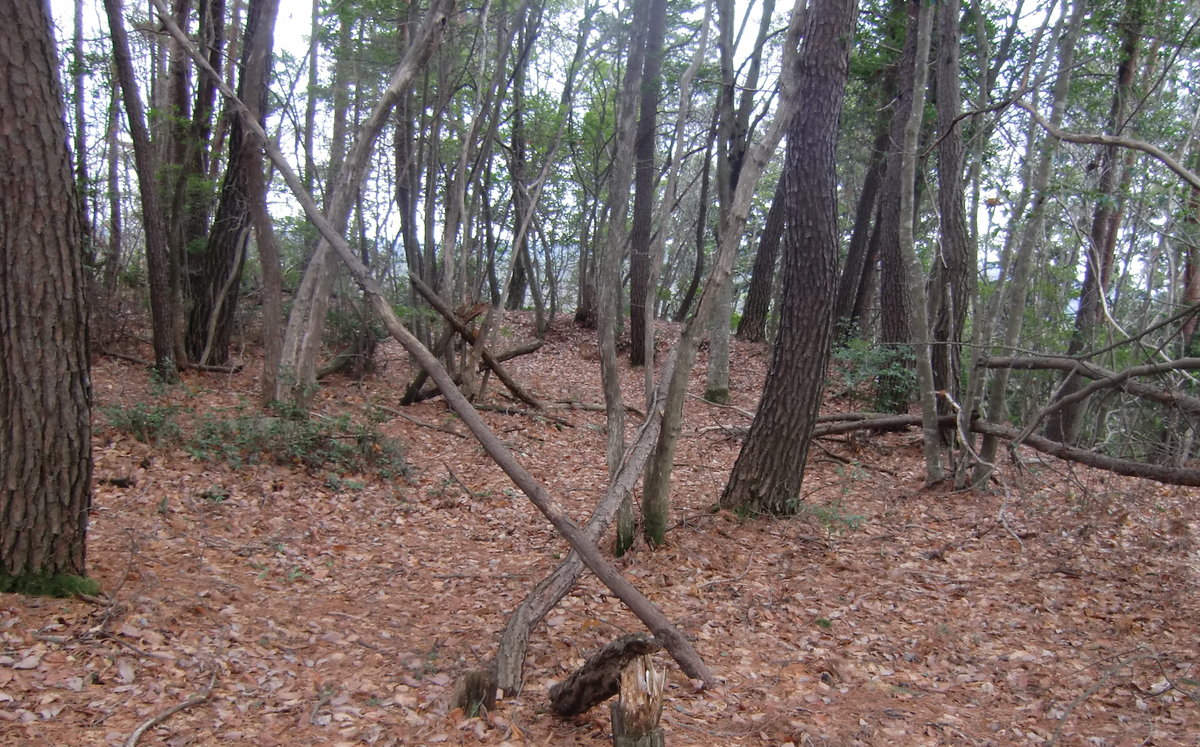 f:id:kohanatoharu:20220408161655p:plain