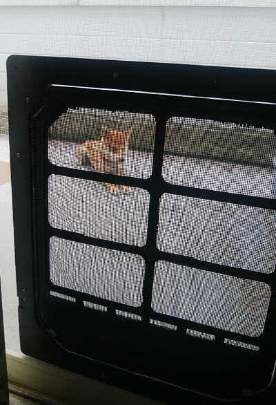 カーチャンとは ウェブの人気 最新記事を集めました はてな