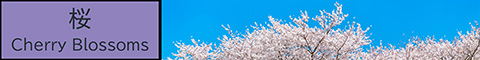 桜