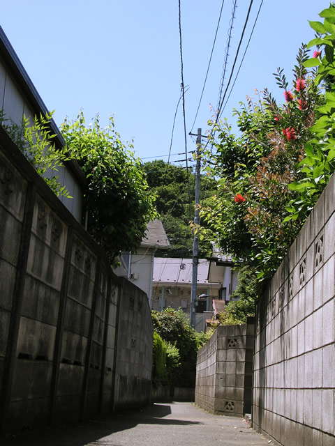 f:id:kohdtdhr:20160709132730j:plain