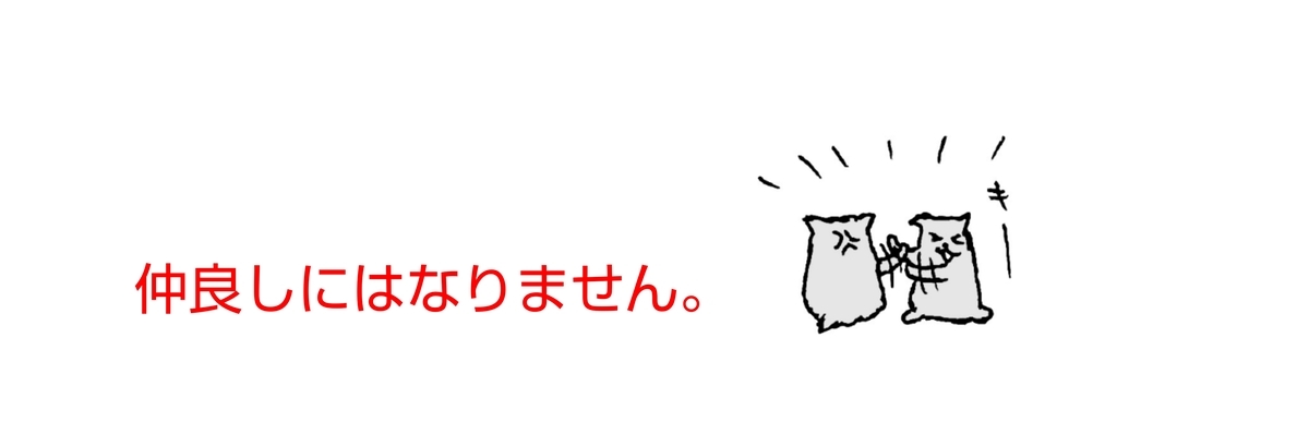 f:id:kohdyun:20210309201104j:plain