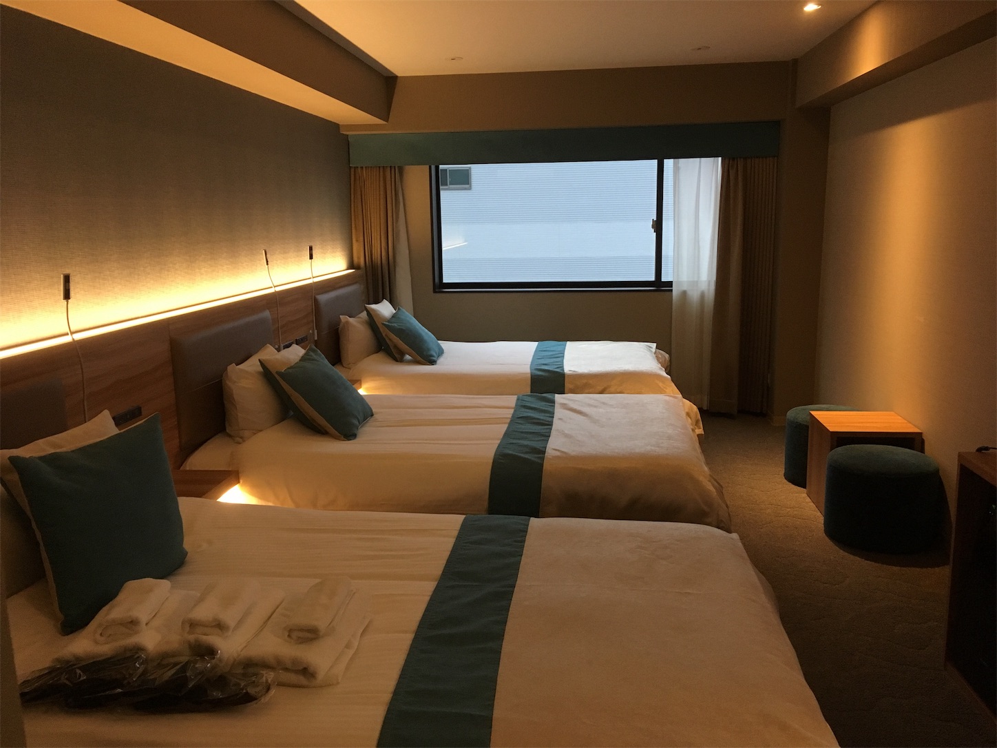f:id:kohe-mikan:20191128113246j:image