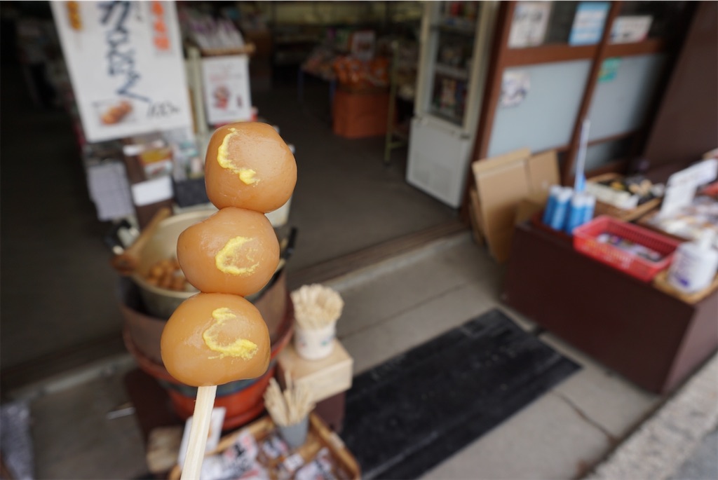 f:id:kohe-mikan:20230510231122j:image