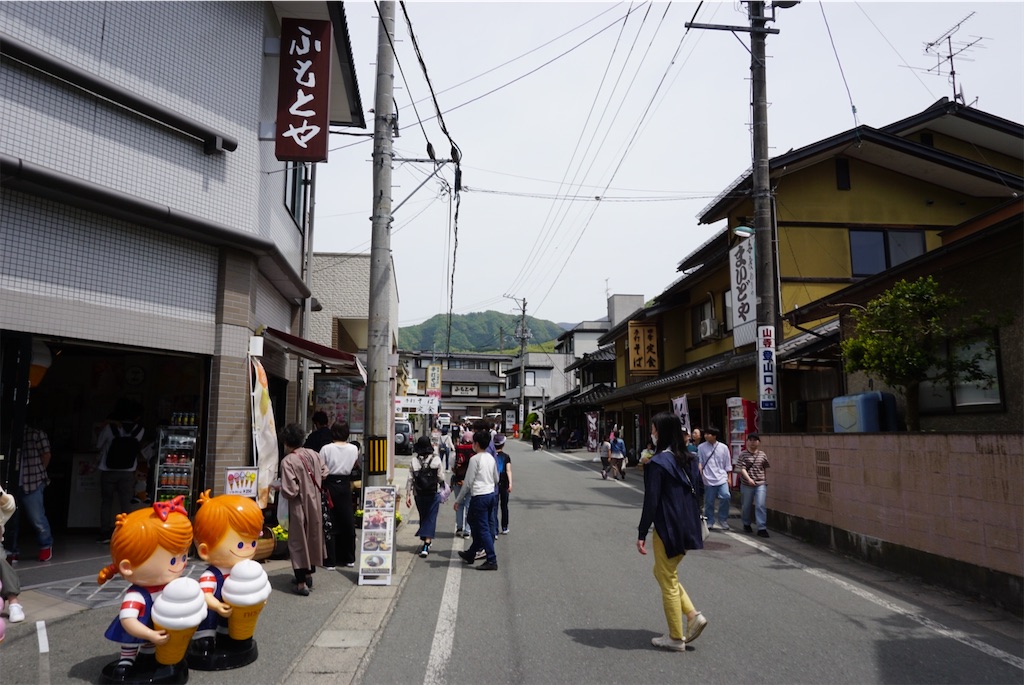 f:id:kohe-mikan:20230511183941j:image