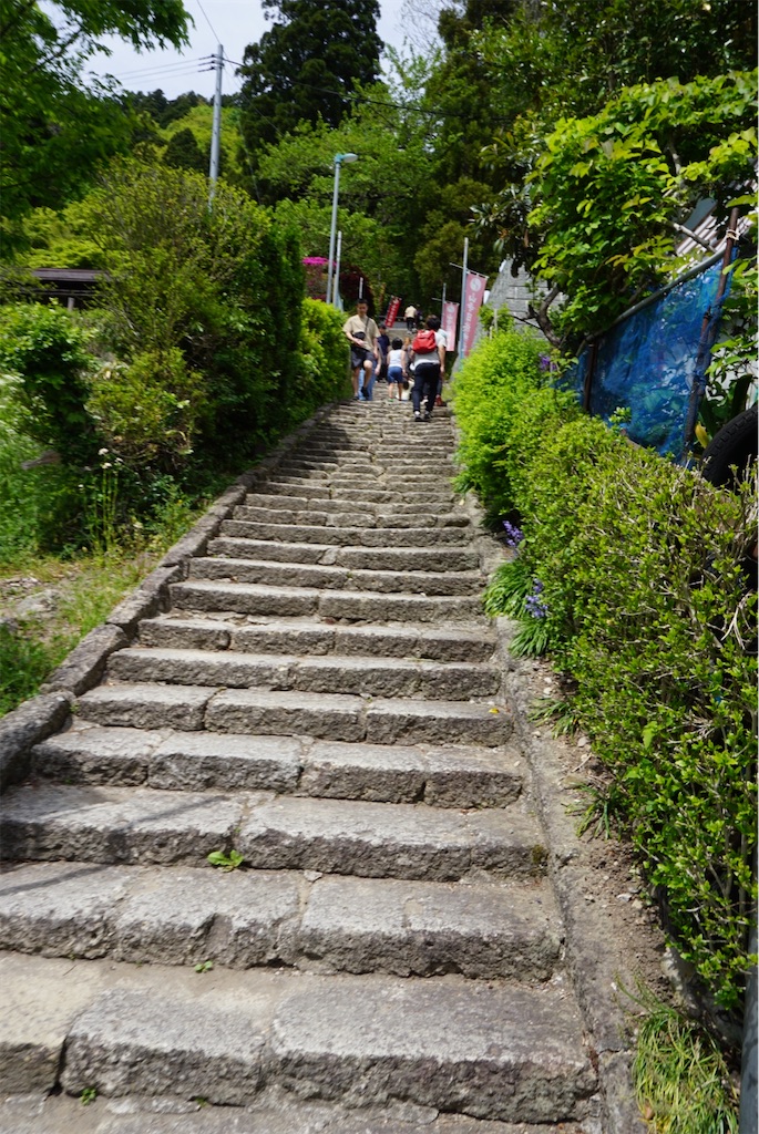 f:id:kohe-mikan:20230511183950j:image