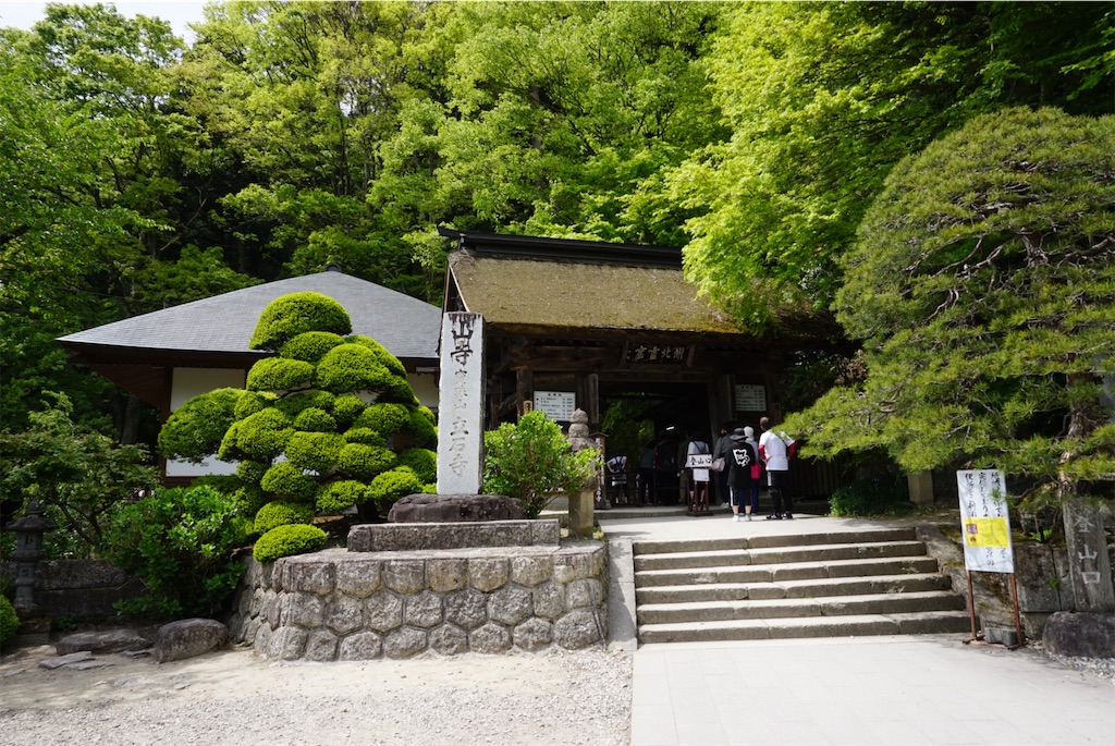 f:id:kohe-mikan:20230511184003j:image