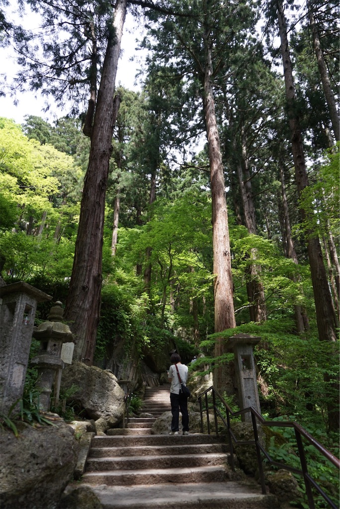 f:id:kohe-mikan:20230511184024j:image