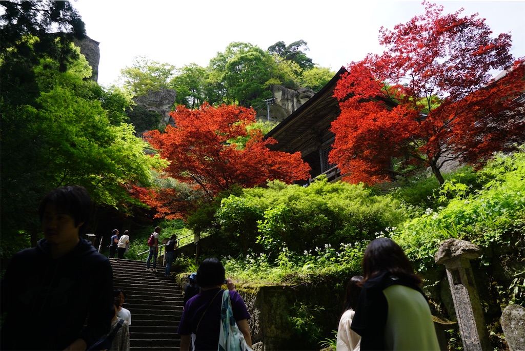 f:id:kohe-mikan:20230511184036j:image