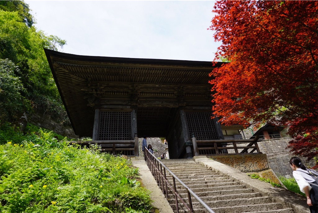 f:id:kohe-mikan:20230511184038j:image