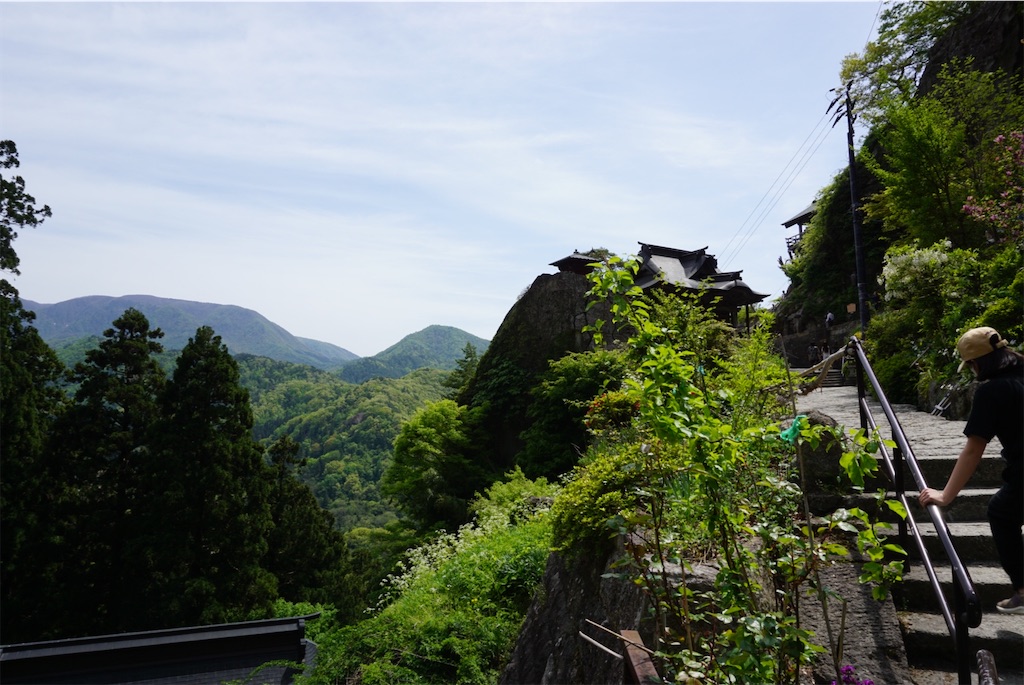 f:id:kohe-mikan:20230511184047j:image