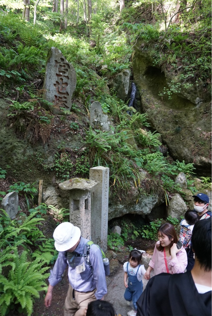 f:id:kohe-mikan:20230511184142j:image