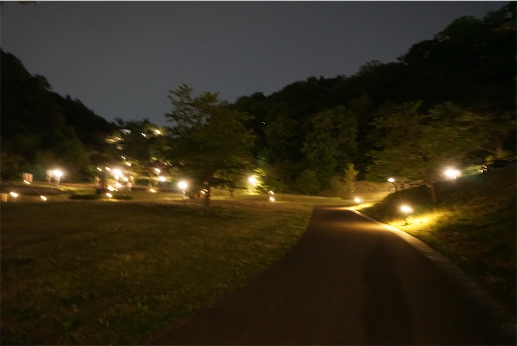 f:id:kohe-mikan:20230511184808j:image