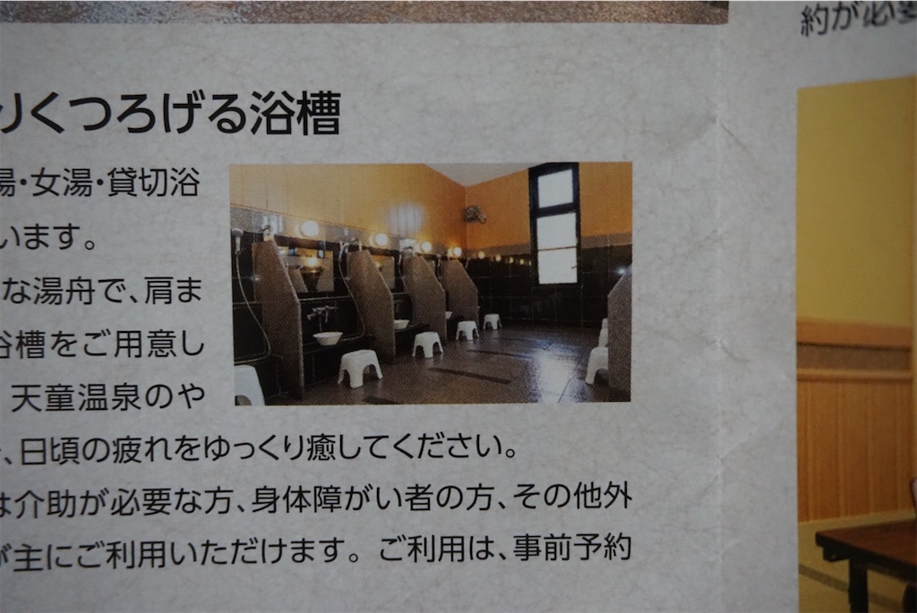 f:id:kohe-mikan:20230511184816j:image