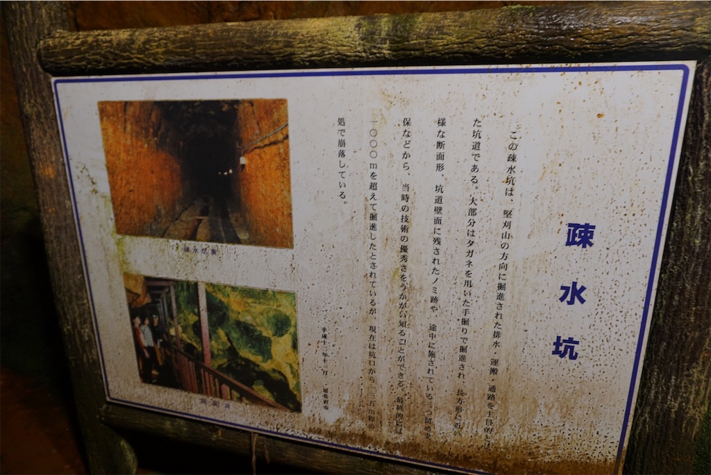 f:id:kohe-mikan:20230518003857j:image