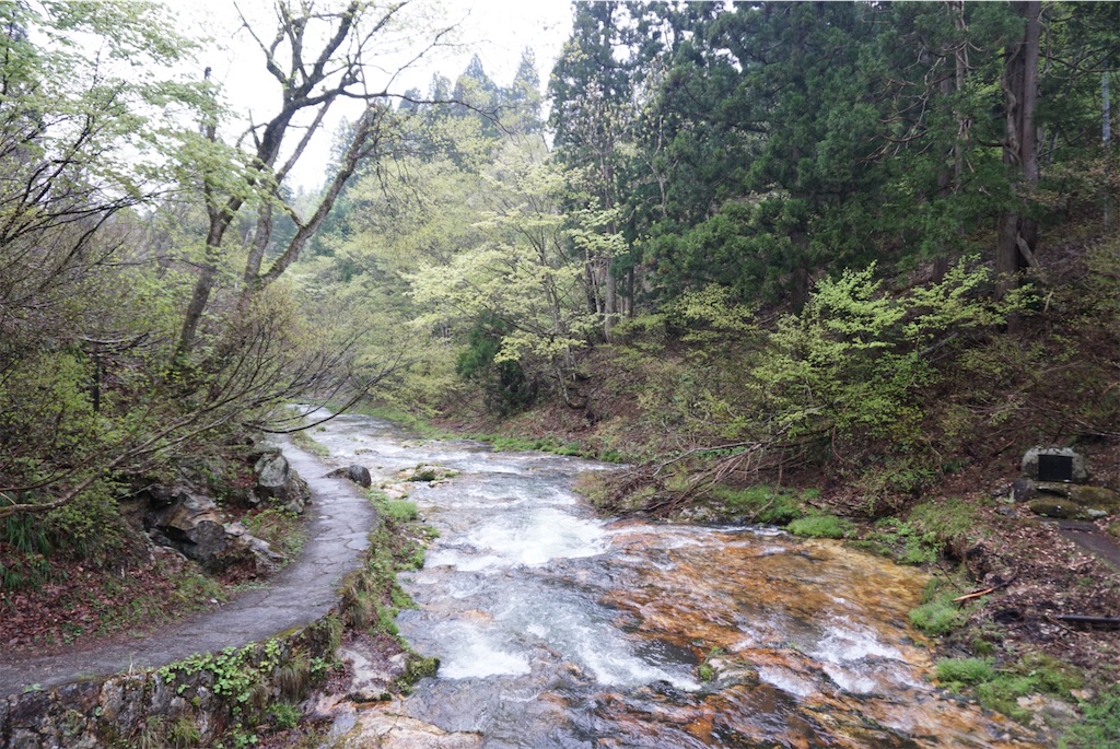 f:id:kohe-mikan:20230520221107j:image