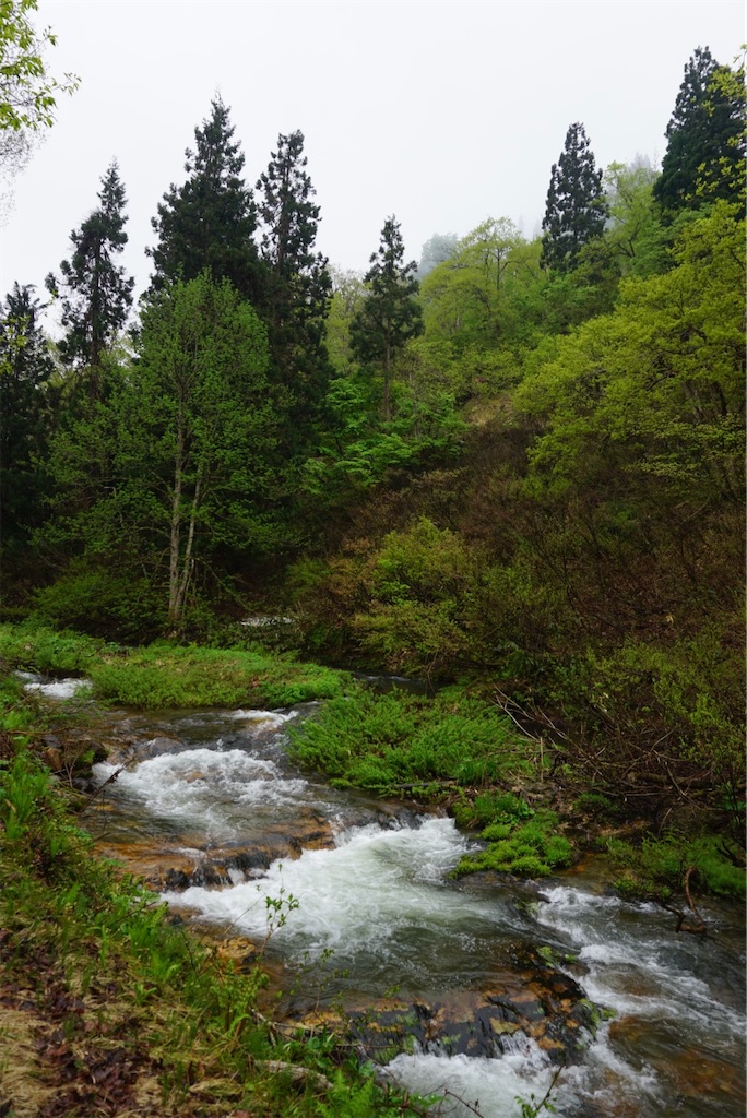 f:id:kohe-mikan:20230520221119j:image