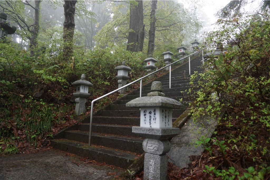 f:id:kohe-mikan:20230705205110j:image