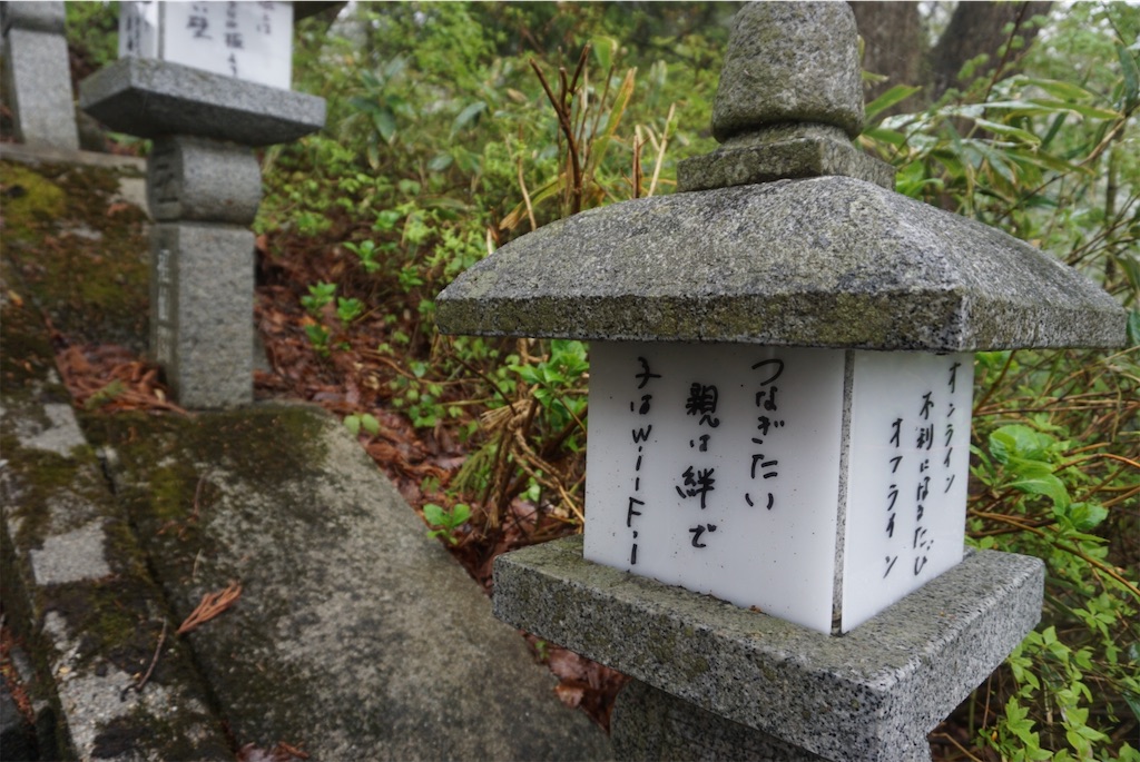 f:id:kohe-mikan:20230705205116j:image