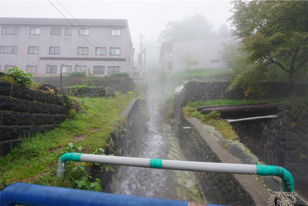 f:id:kohe-mikan:20230705205810j:image