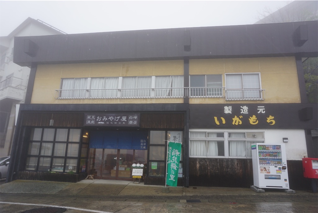 f:id:kohe-mikan:20230705205853j:image