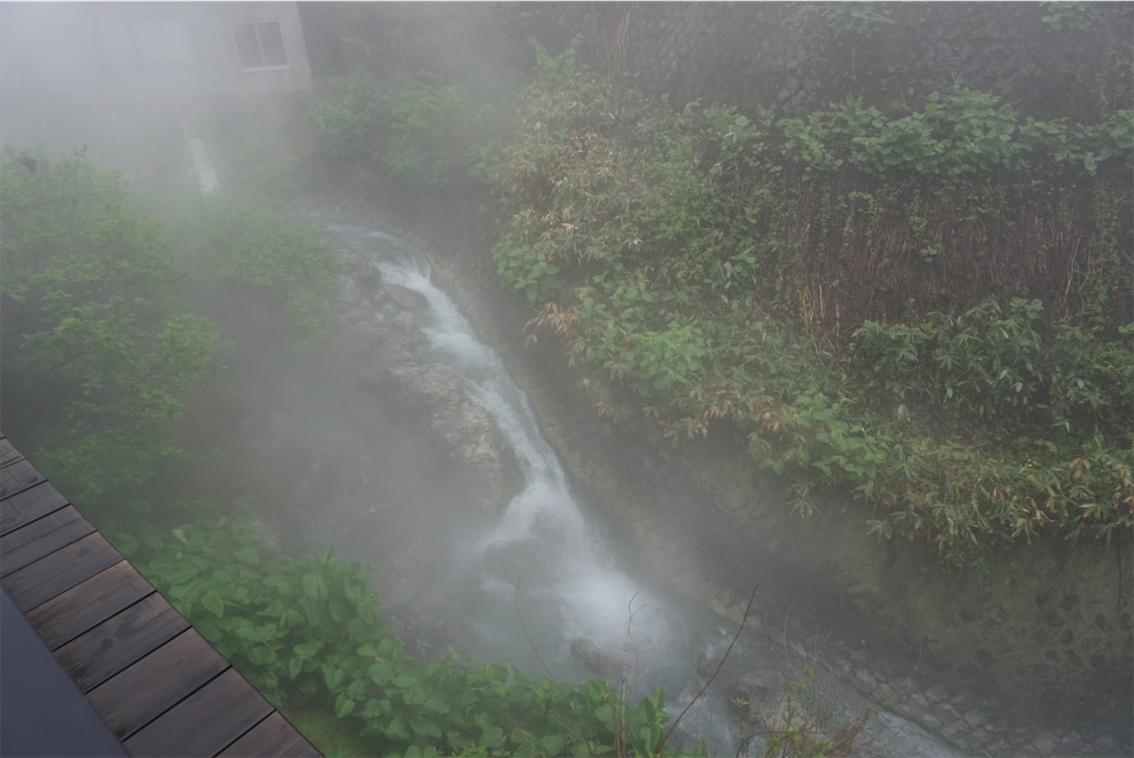 f:id:kohe-mikan:20230705205906j:image