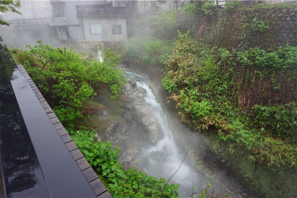 f:id:kohe-mikan:20230705205910j:image