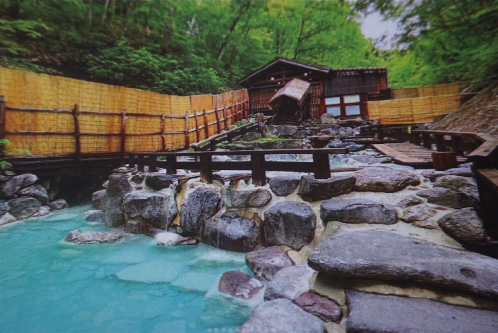 f:id:kohe-mikan:20230705210018j:image