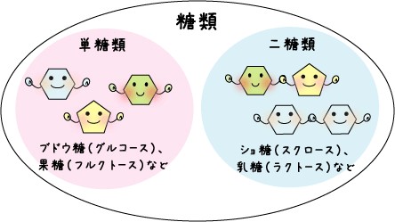 f:id:kohecchi:20190327050027j:image