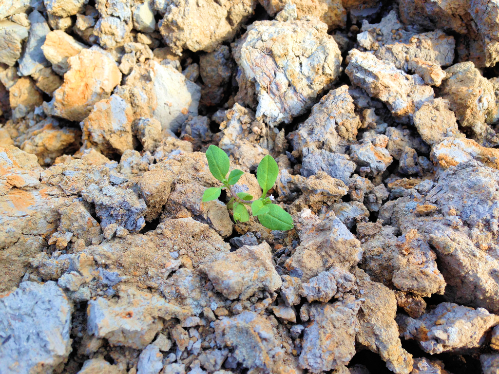 f:id:kohei_nagura:20190114150917j:plain f:id:kohei_nagura:20190114150917j:plain