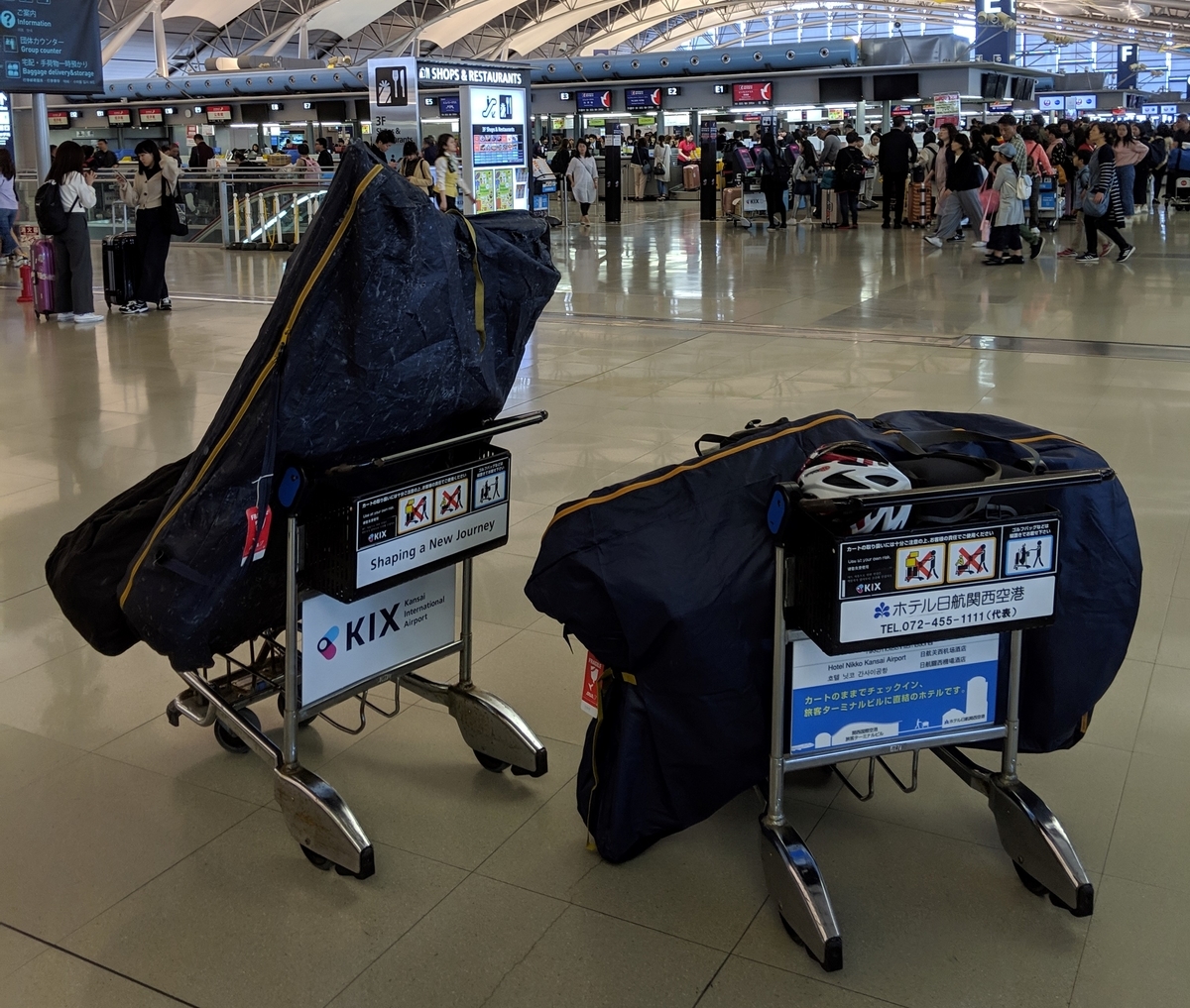 f:id:kohei_tourist:20190620002401j:plain:w400