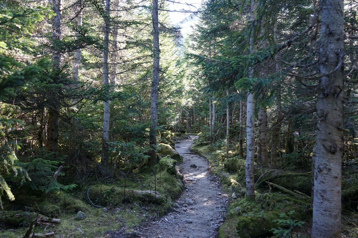 f:id:kohei_tourist:20200328162532j:plain f:id:kohei_tourist:20200328162532j:plain