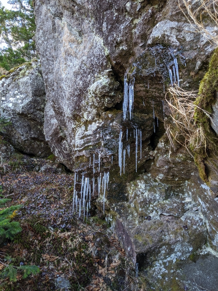 f:id:kohei_tourist:20200328162615j:plain f:id:kohei_tourist:20200328162615j:plain