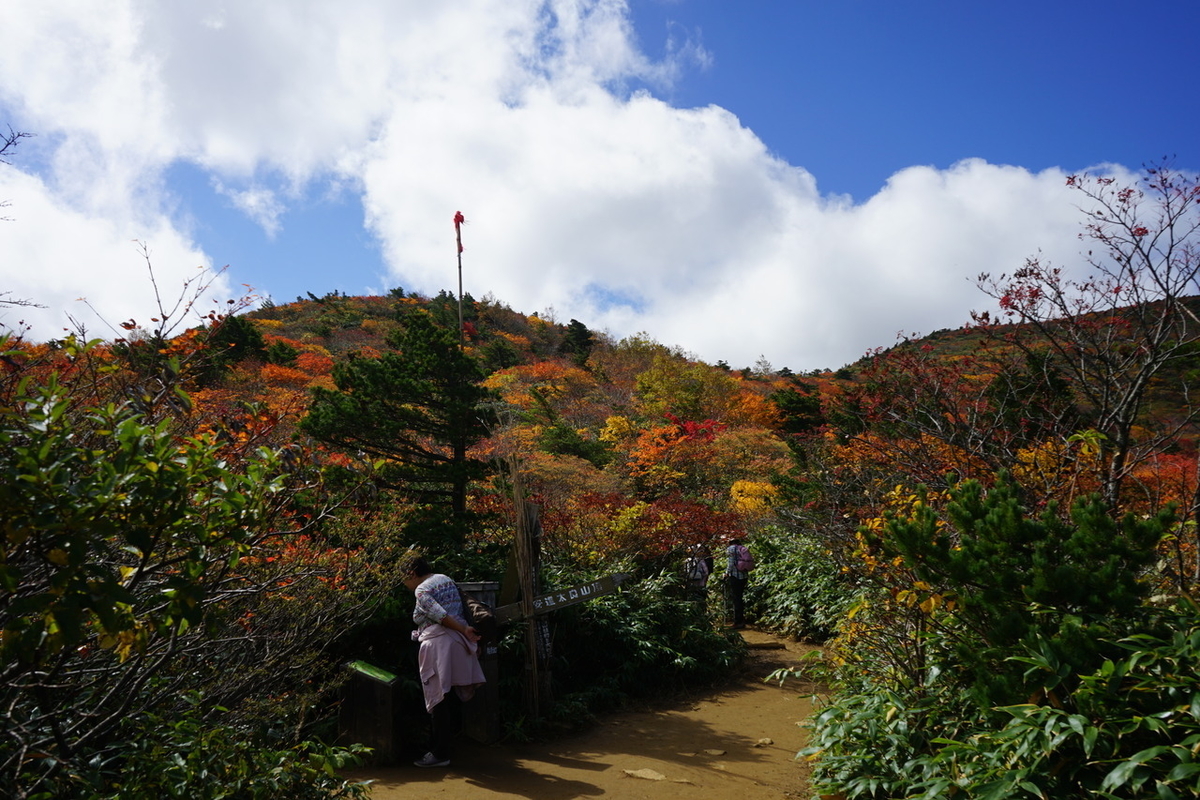 f:id:kohei_tourist:20200329141135j:plain