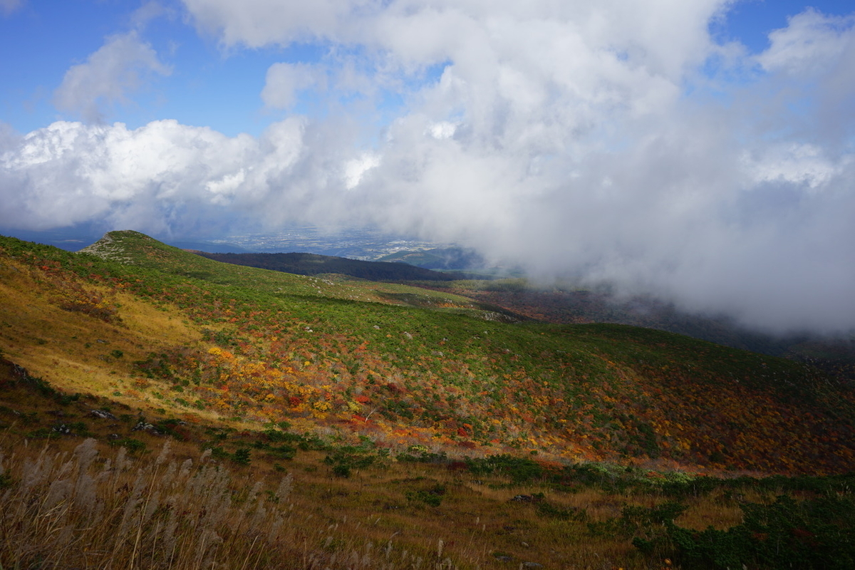 f:id:kohei_tourist:20200329141138j:plain