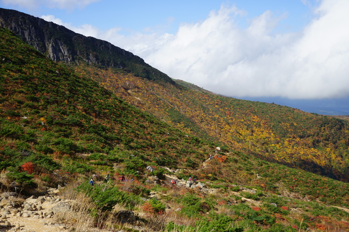 f:id:kohei_tourist:20200329141157j:plain