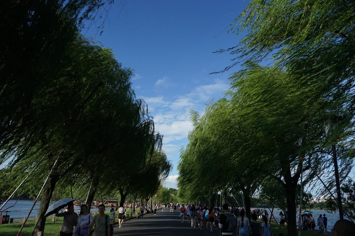 f:id:kohei_tourist:20200329143641j:plain