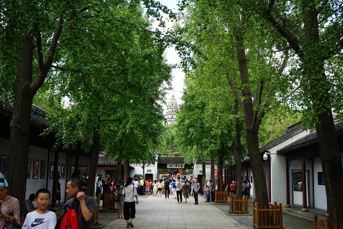 f:id:kohei_tourist:20200329143645j:plain